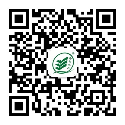 91香蕉视频IOS下载