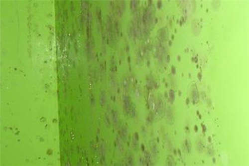 1618382866764517.jpg 1618382866764517.jpg