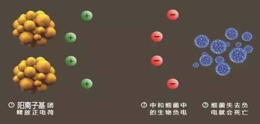 1619597688372410.jpg 正离子杀菌.jpg